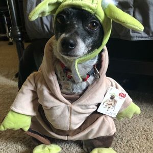 Yoda dog costume